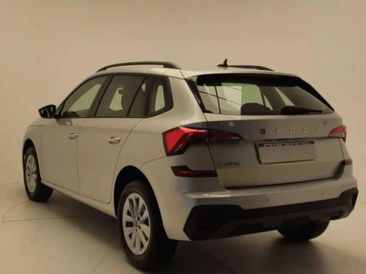 Skoda Kamiq usata a Avellino (5)
