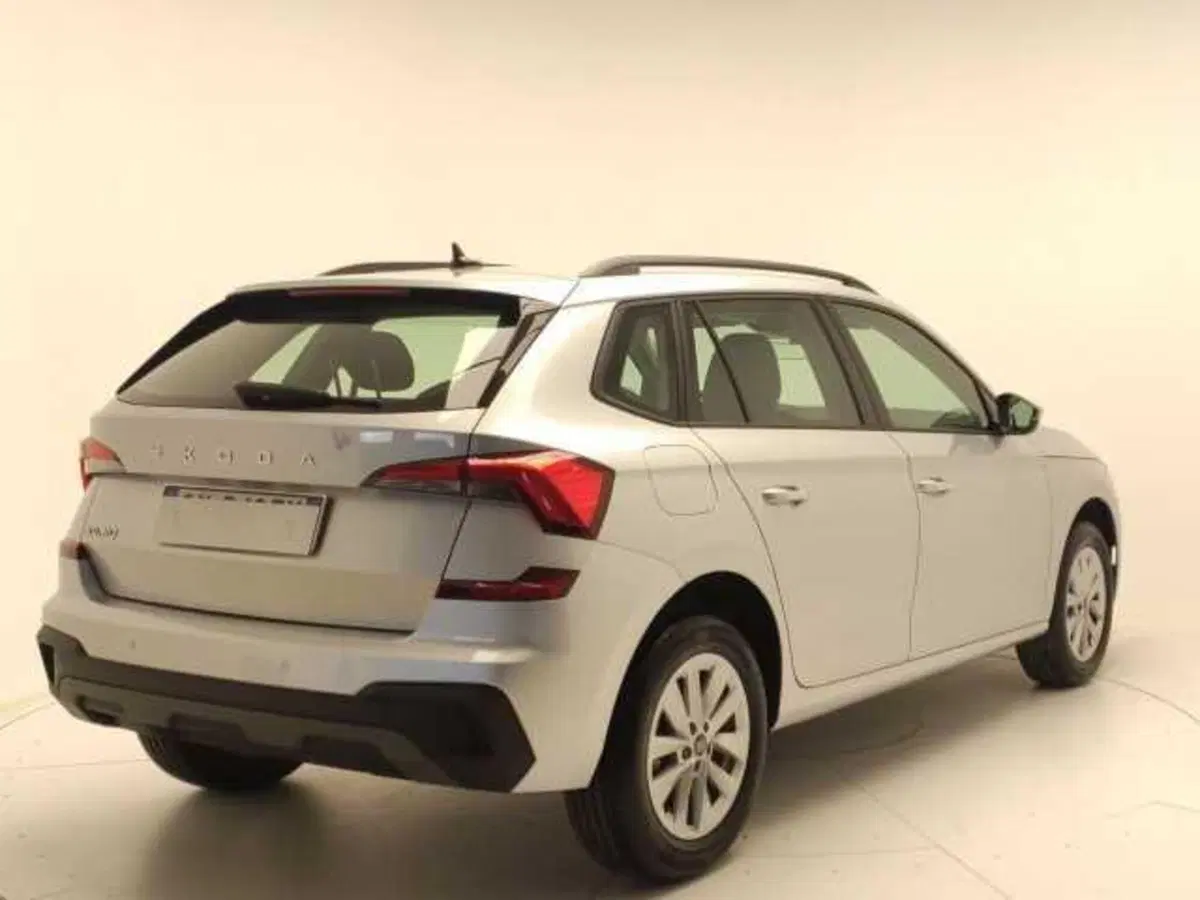 Skoda Kamiq usata a Avellino (7)