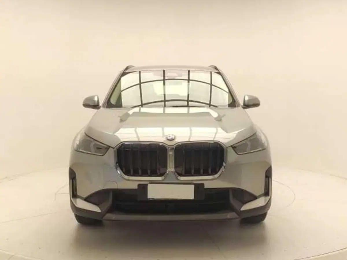 BMW X1 usata a Avellino (2)