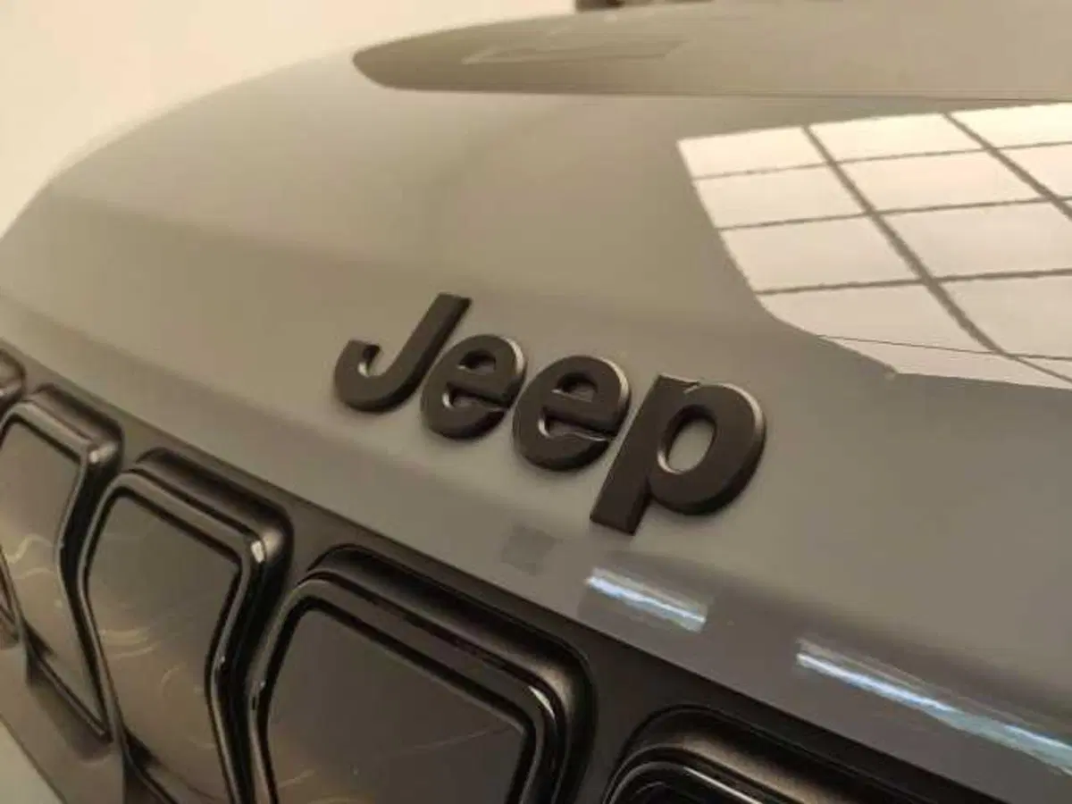 Jeep Avenger usata a Avellino (12)