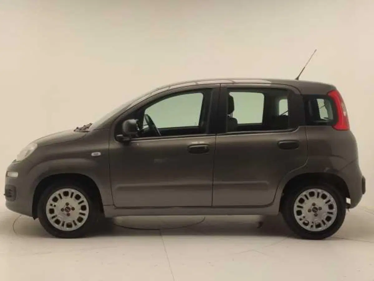 Fiat 500 usata a Avellino (4)