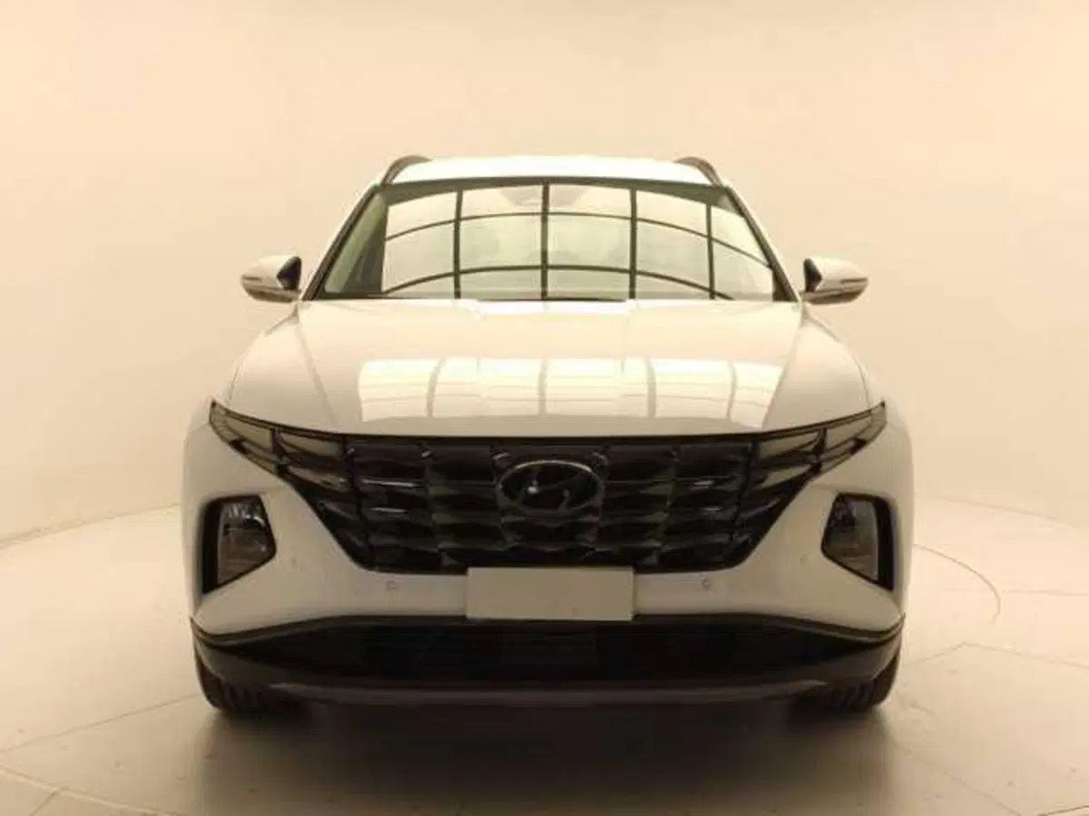 Hyundai Tucson usata a Avellino (2)