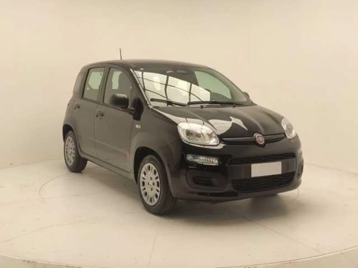 Fiat Panda Cross usata a Avellino