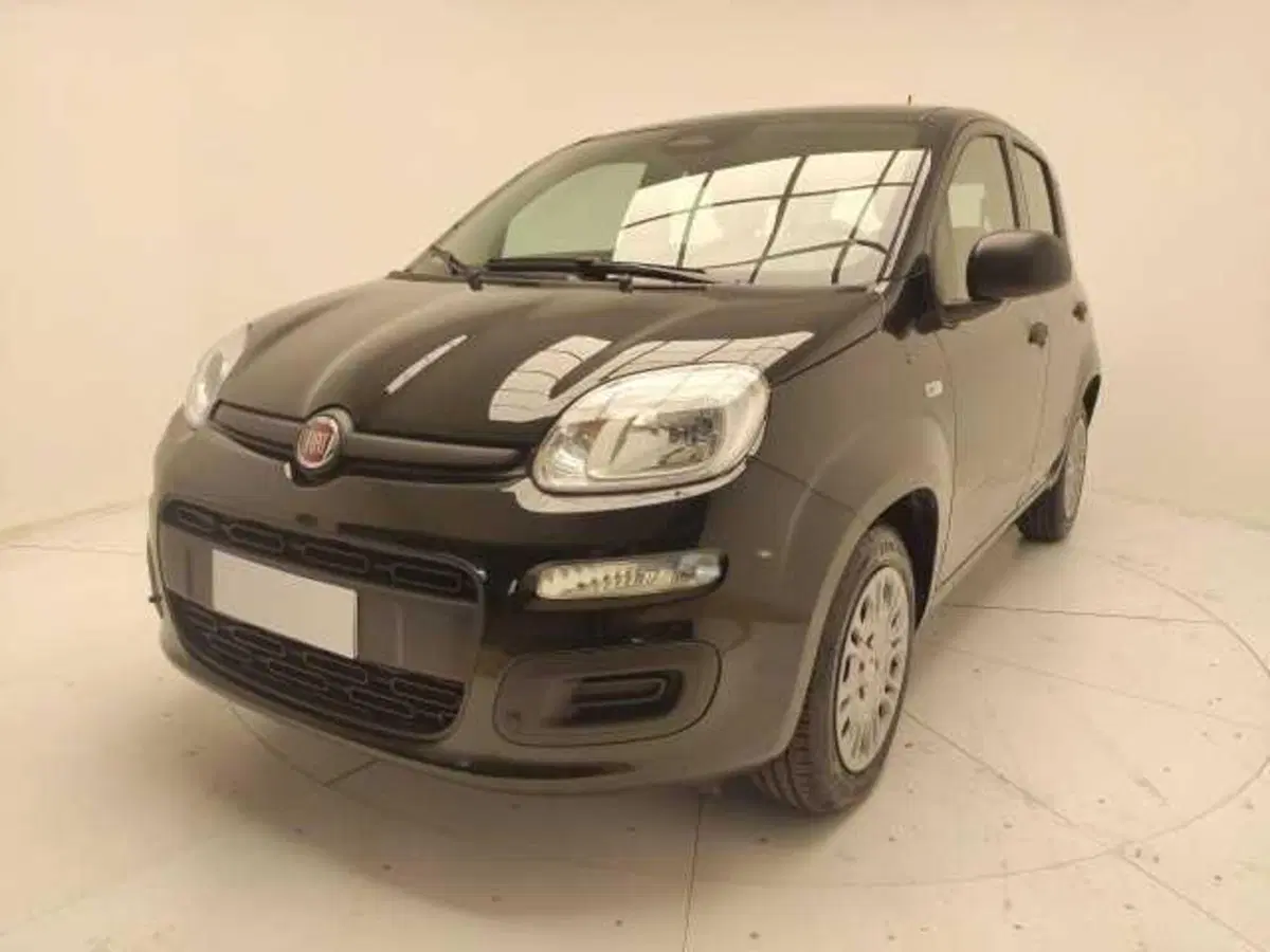 Fiat Panda Cross usata a Avellino (10)