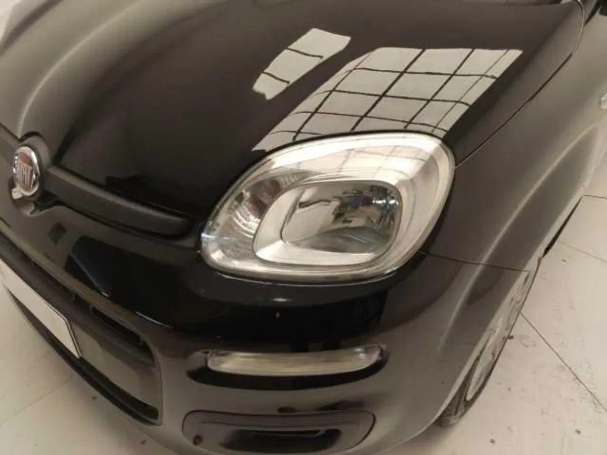 Fiat Panda Cross usata a Avellino (11)