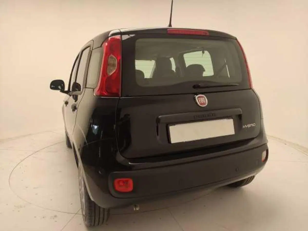 Fiat Panda Cross usata a Avellino (13)