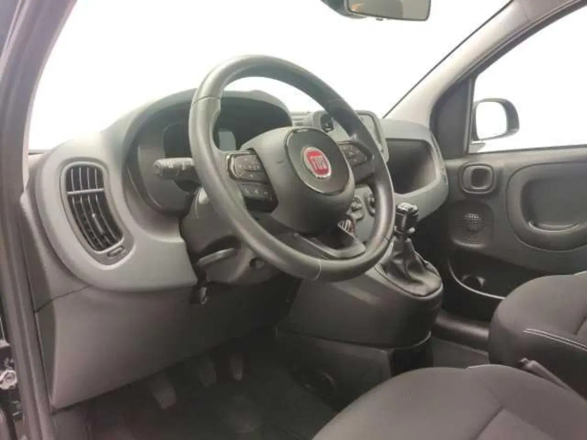 Fiat Panda Cross usata a Avellino (17)