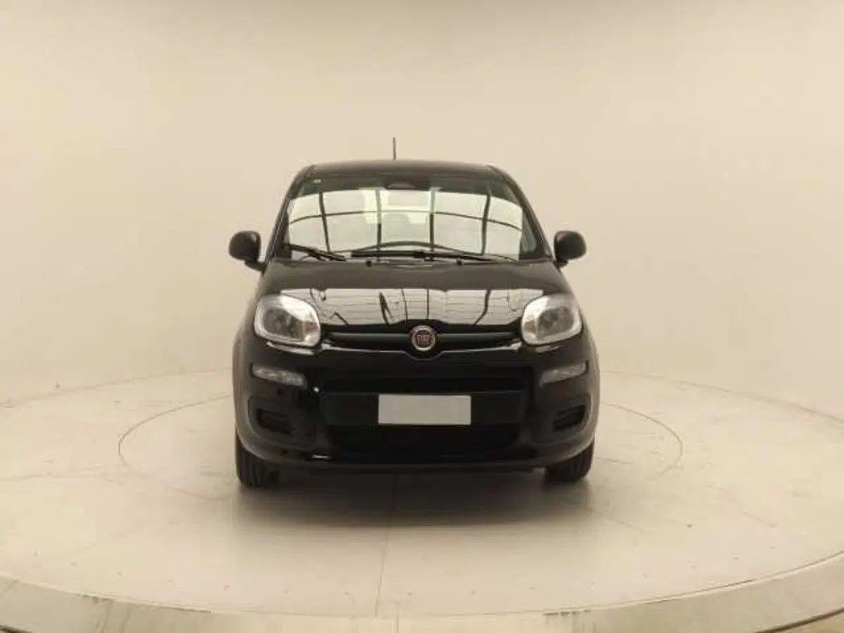 Fiat Panda Cross usata a Avellino (2)