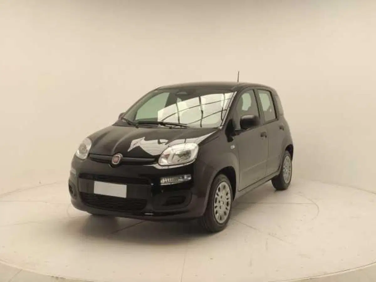 Fiat Panda Cross usata a Avellino (3)