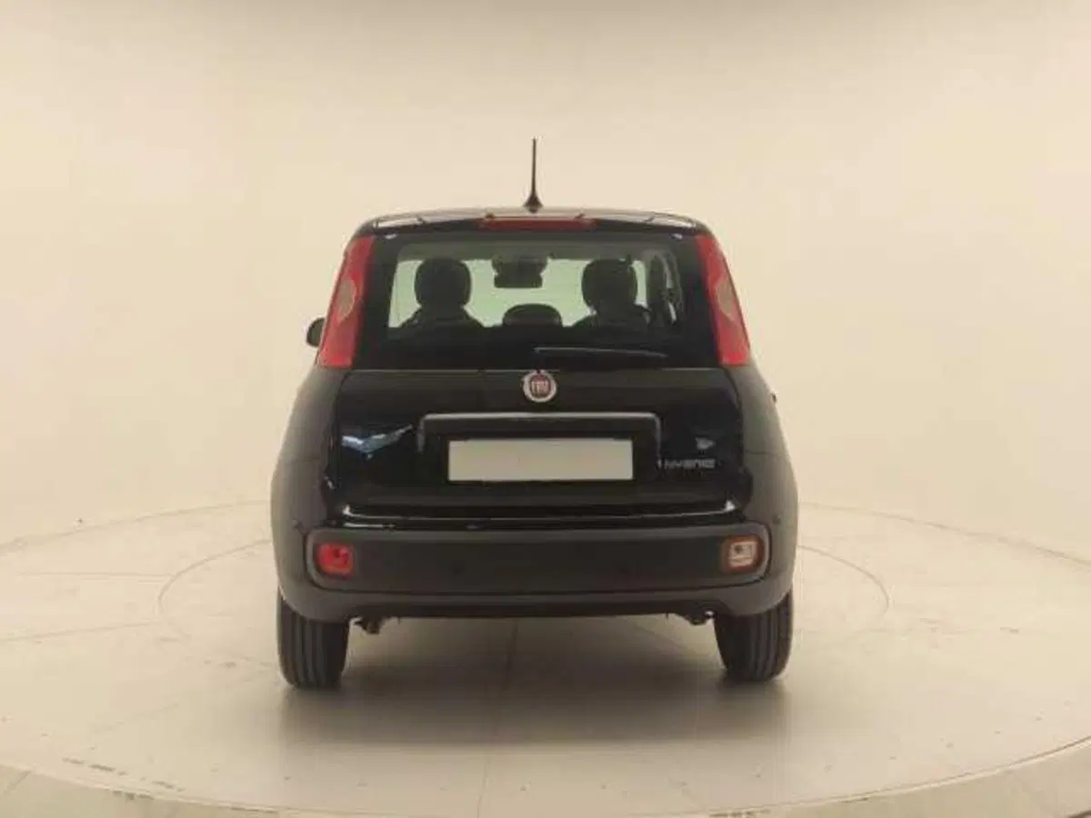 Fiat Panda Cross usata a Avellino (6)