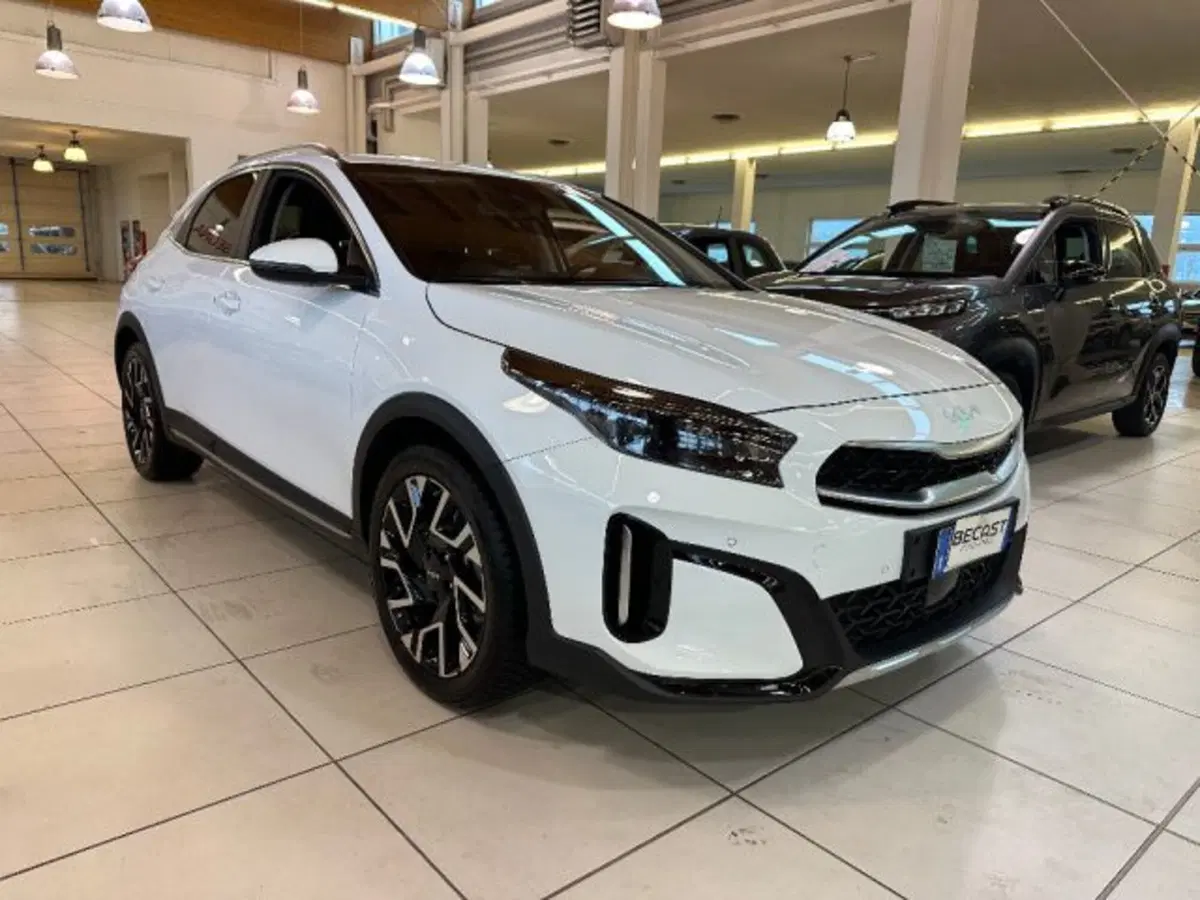 Kia XCeed usata a Vicenza (2)