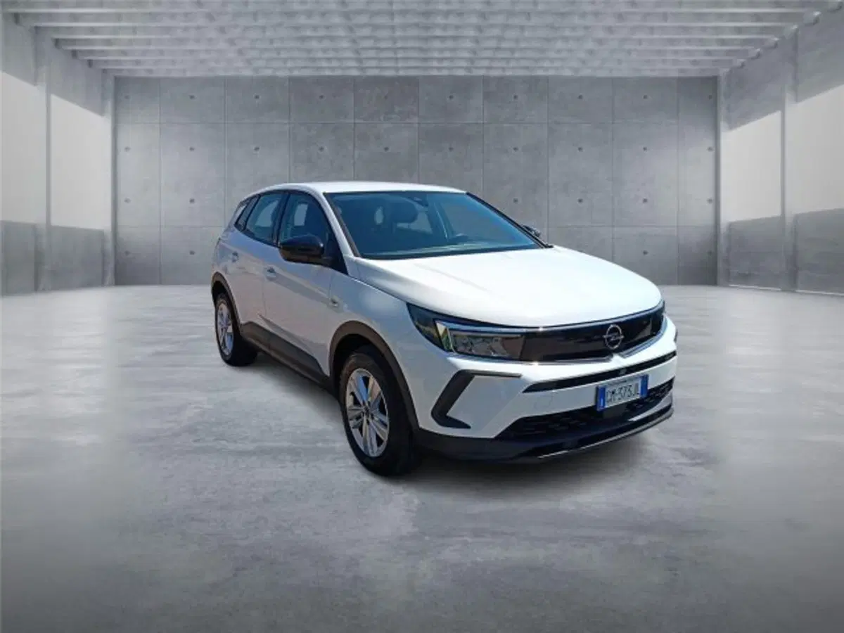 Opel Grandland usata a Bari