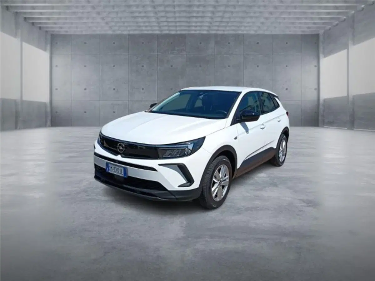 Opel Grandland usata a Bari (3)