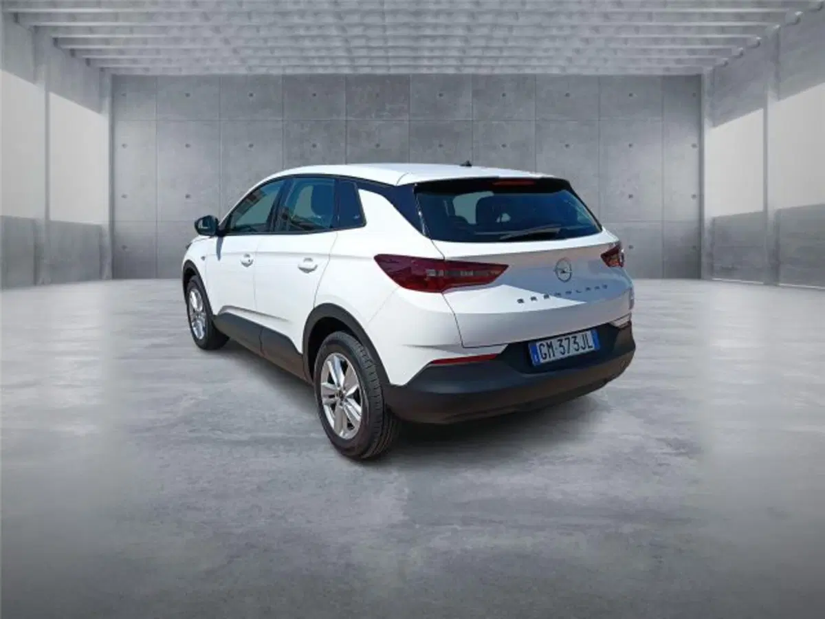 Opel Grandland usata a Bari (4)