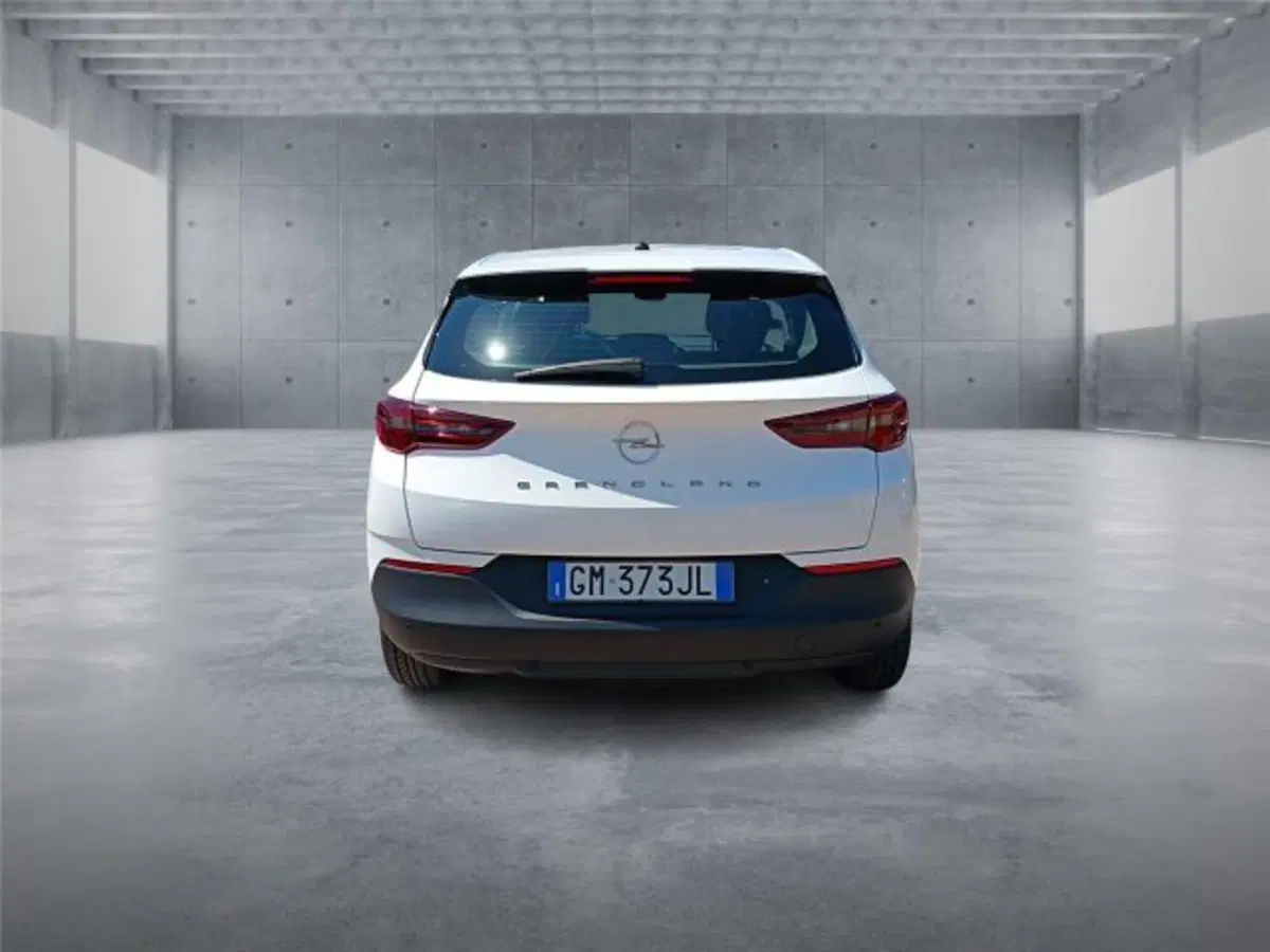 Opel Grandland usata a Bari (5)