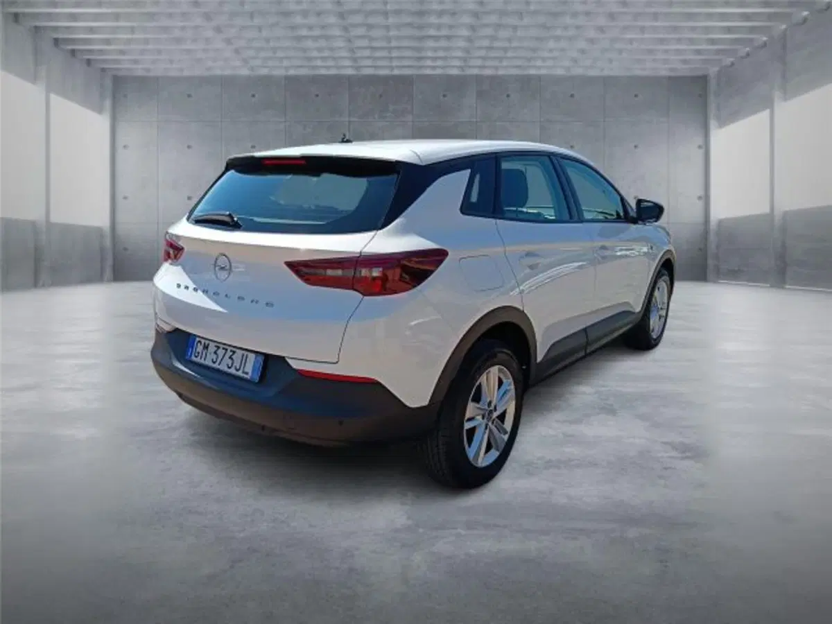 Opel Grandland usata a Bari (6)
