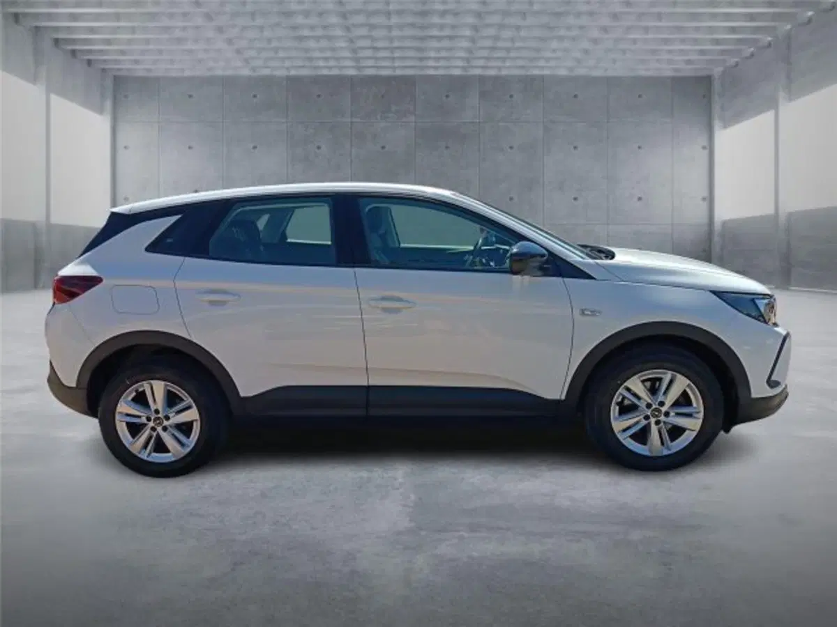 Opel Grandland usata a Bari (7)