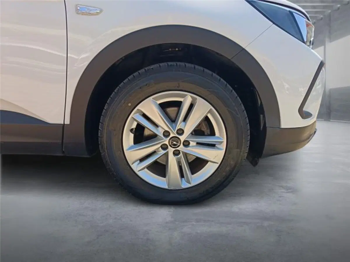 Opel Grandland usata a Bari (8)