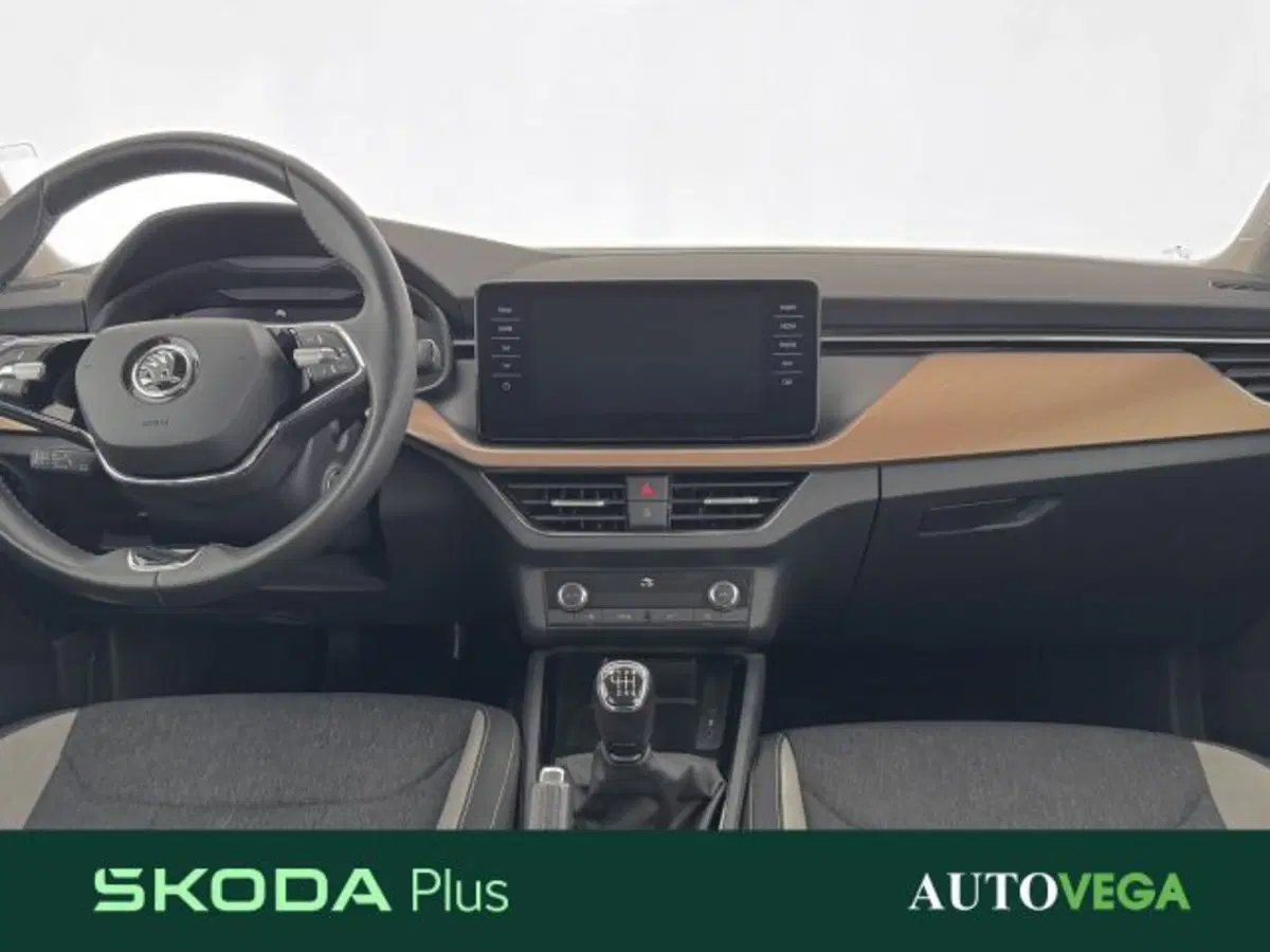 Skoda Kamiq usata a Vicenza (20)