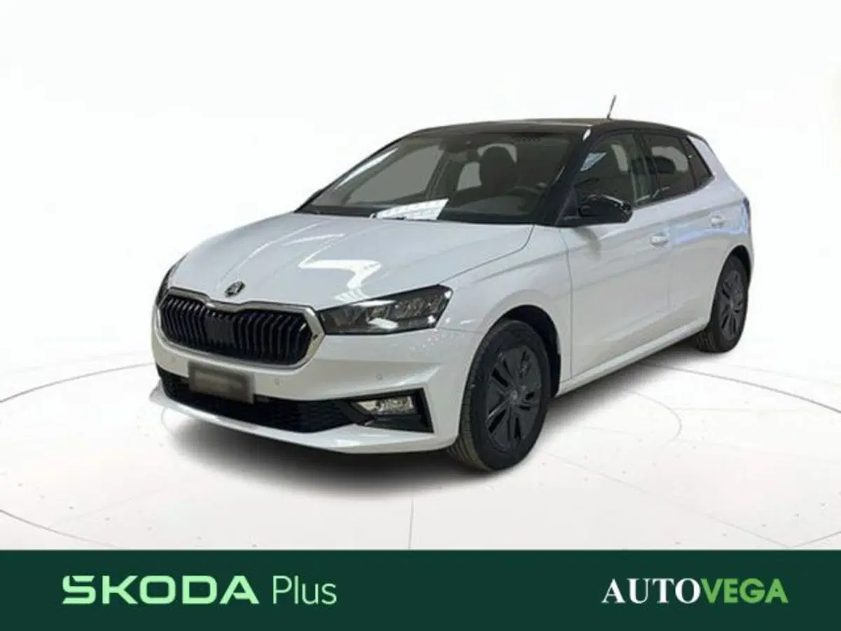 Skoda Fabia usata a Vicenza