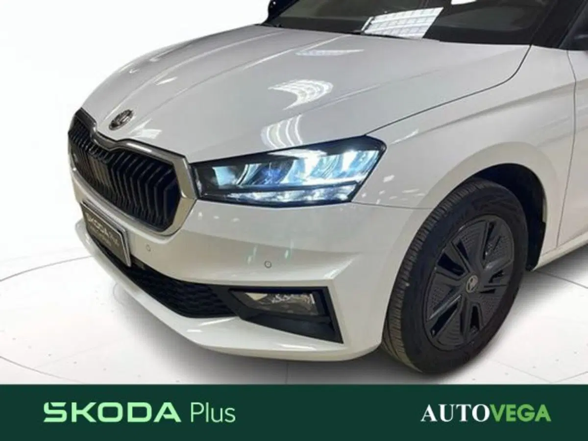 Skoda Fabia usata a Vicenza (19)