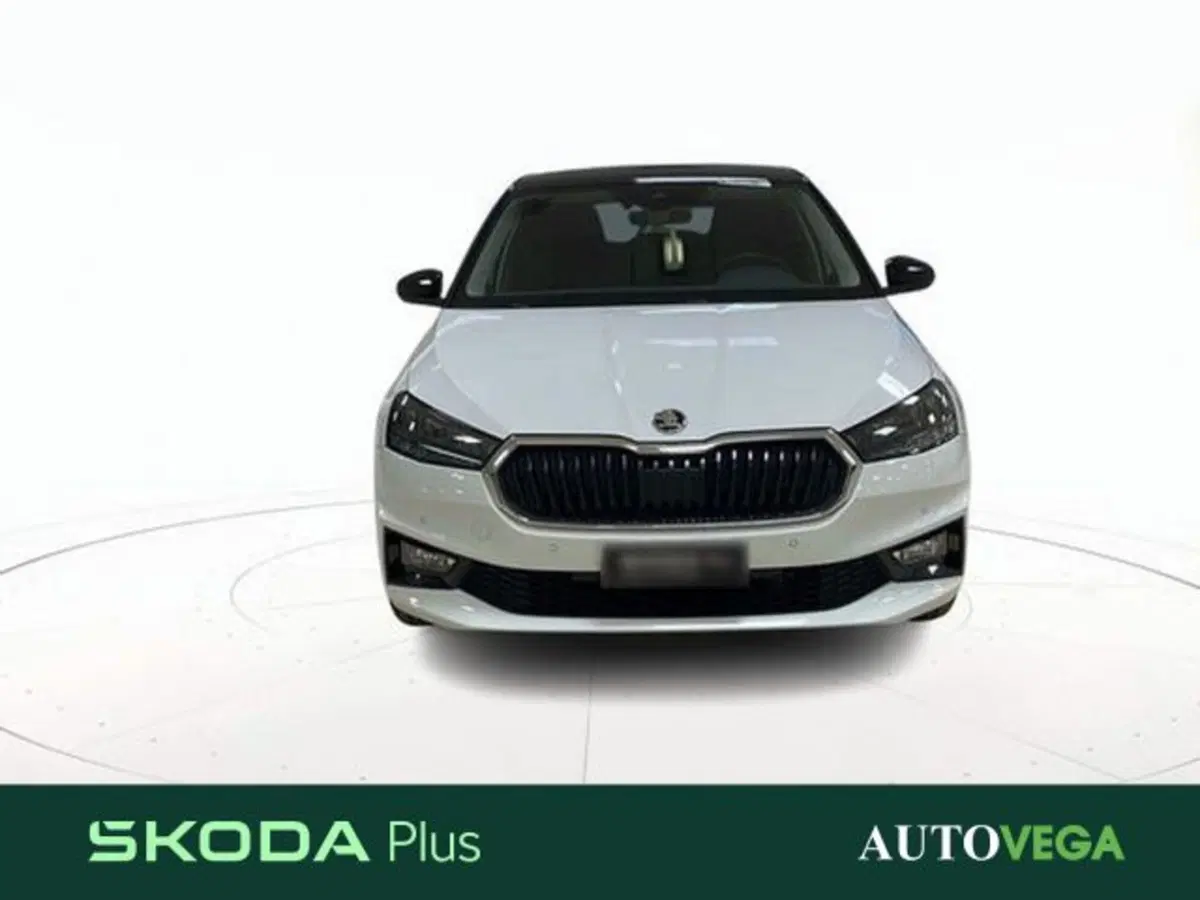 Skoda Fabia usata a Vicenza (2)