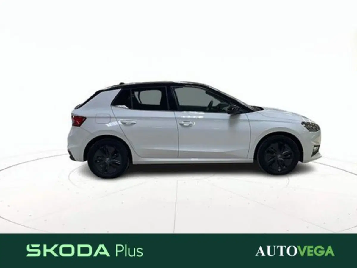 Skoda Fabia usata a Vicenza (3)