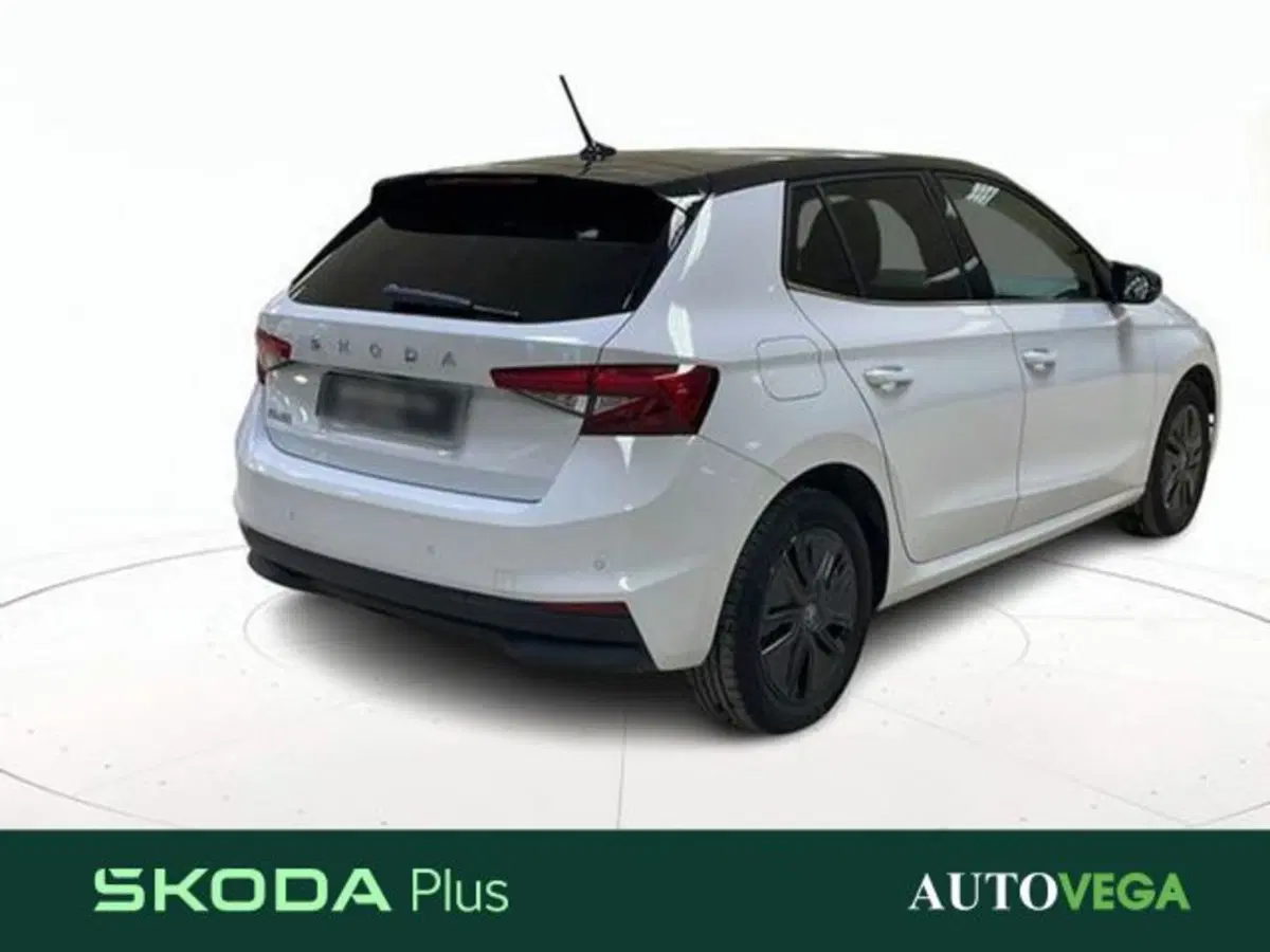 Skoda Fabia usata a Vicenza (4)