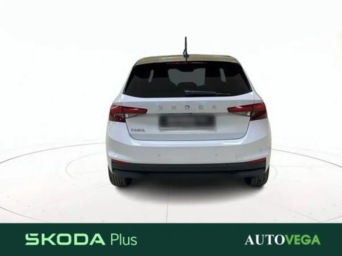 Skoda Fabia usata a Vicenza (5)