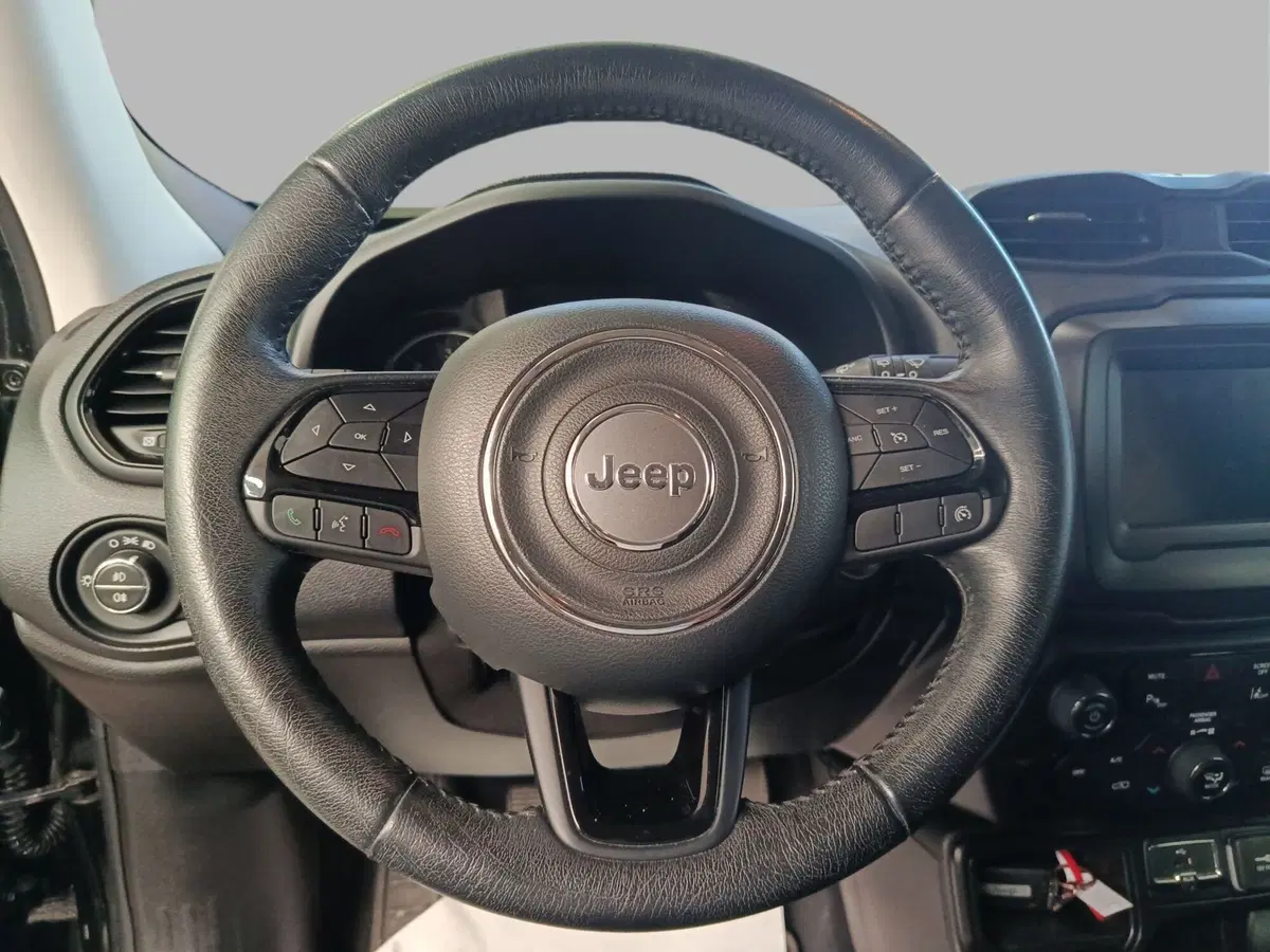 Jeep Renegade usata a Monza e Brianza (9)