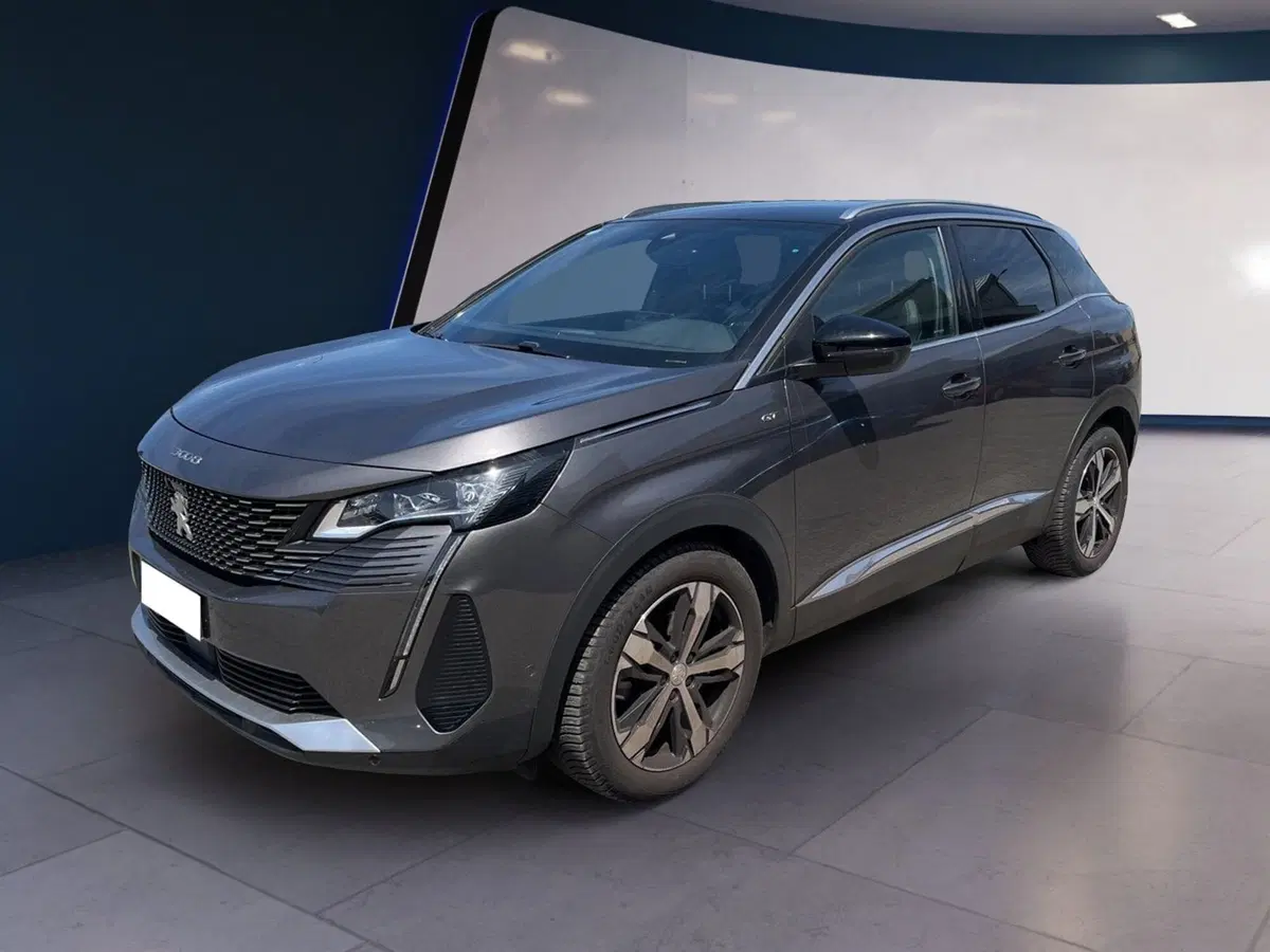 Peugeot 3008 usata a Torino (2)