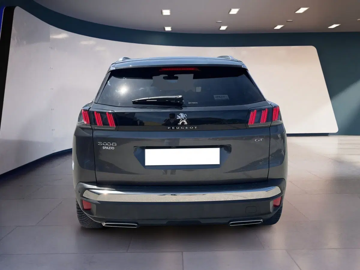 Peugeot 3008 usata a Torino (5)