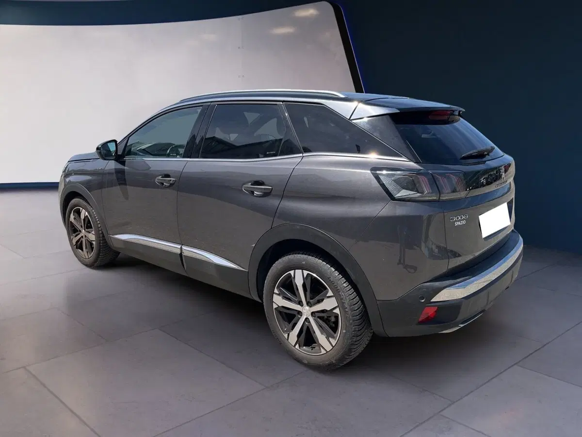 Peugeot 3008 usata a Torino (6)