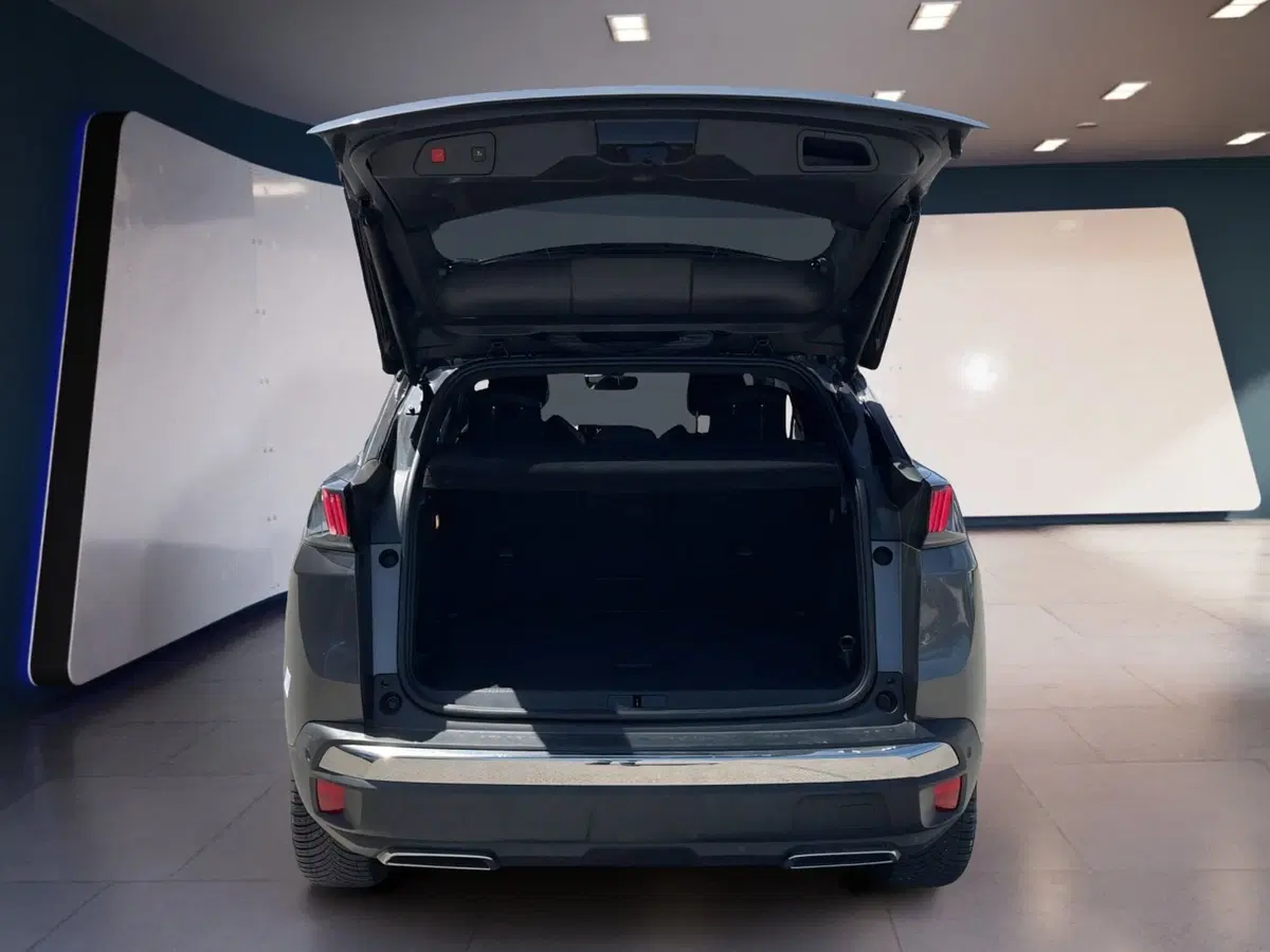 Peugeot 3008 usata a Torino (7)