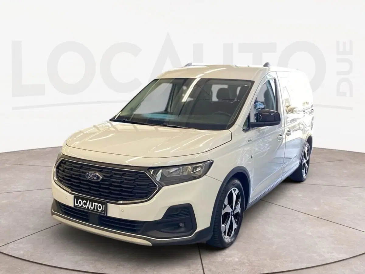 Ford Tourneo Connect usata a Torino