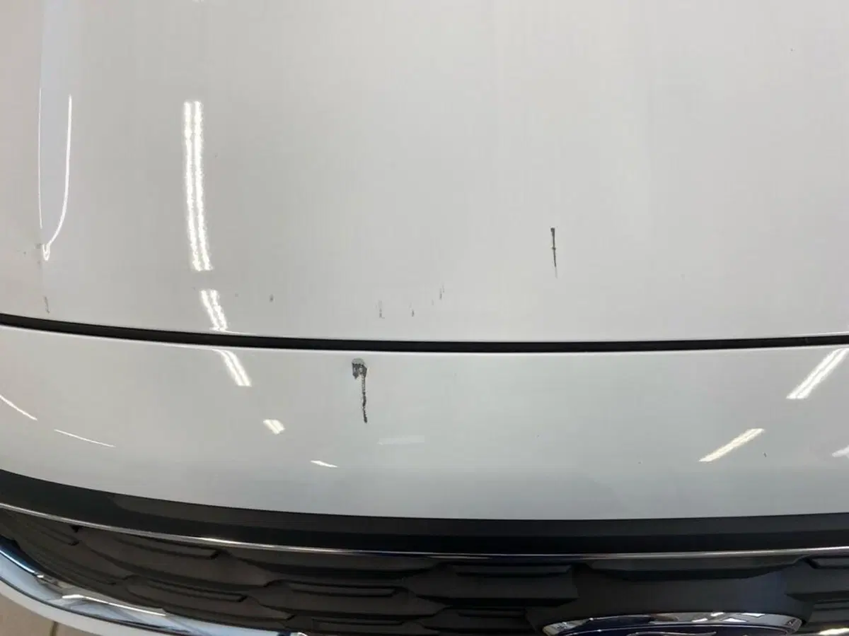 Ford Tourneo Connect usata a Torino (14)