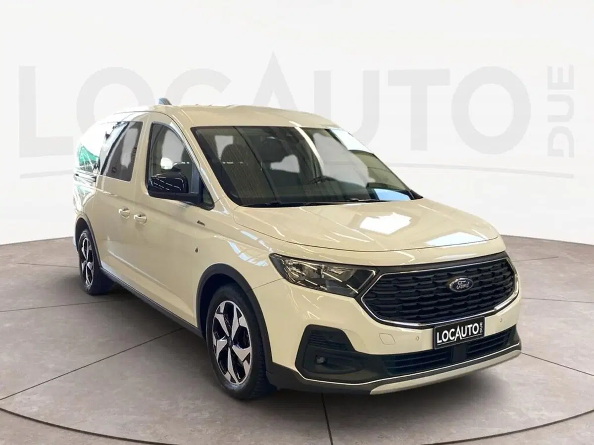 Ford Tourneo Connect usata a Torino (3)