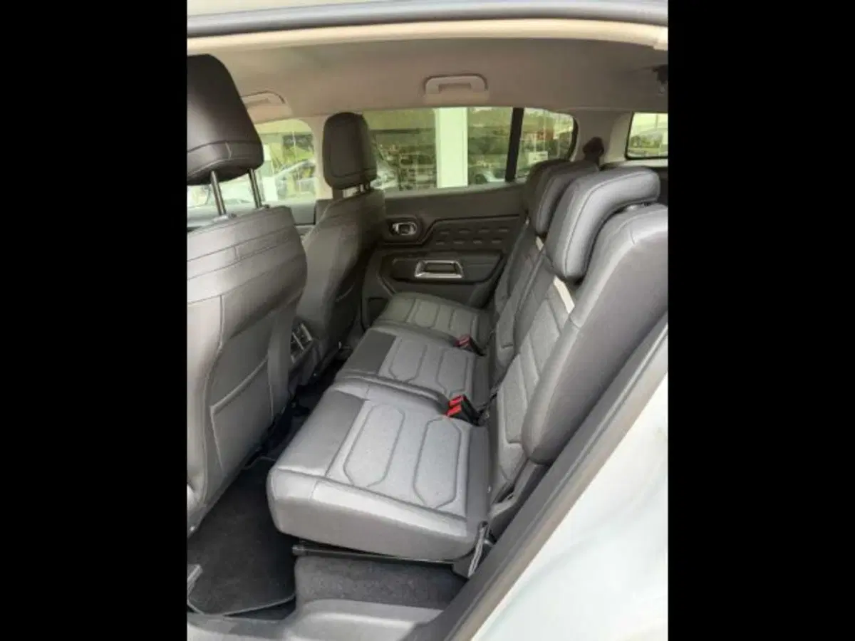 Citroen C5 Aircross usata a Caltanissetta (13)