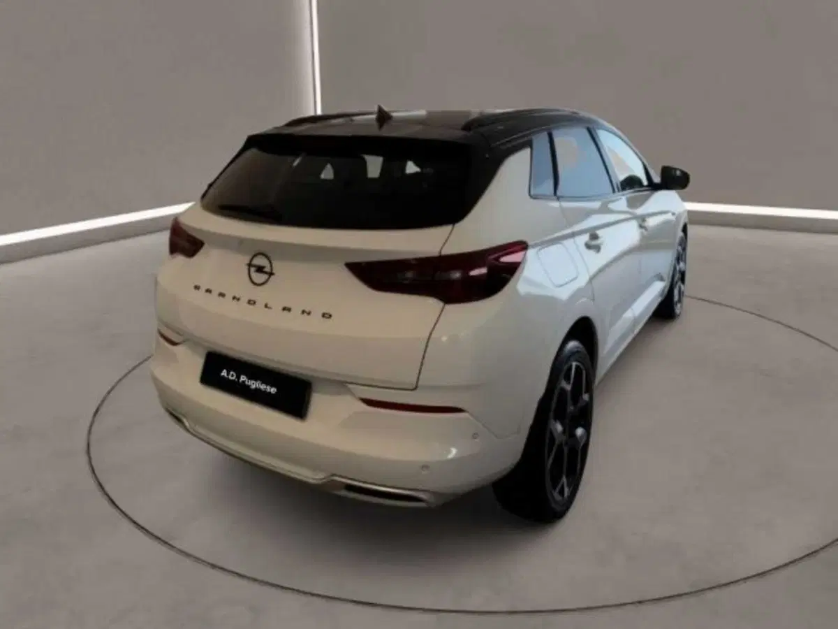 Opel Grandland usata a Caltanissetta (5)