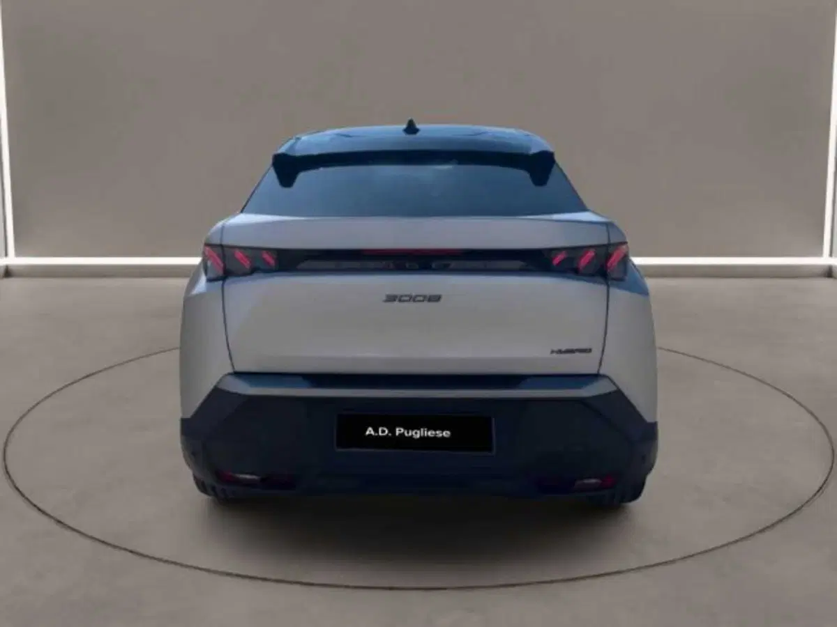 Peugeot 3008 usata a Caltanissetta (7)