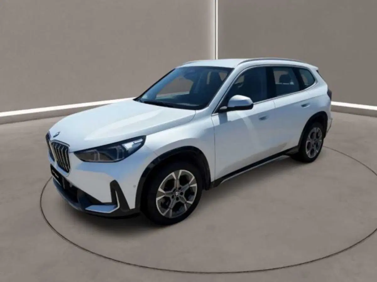 BMW X1 usata a Caltanissetta (12)