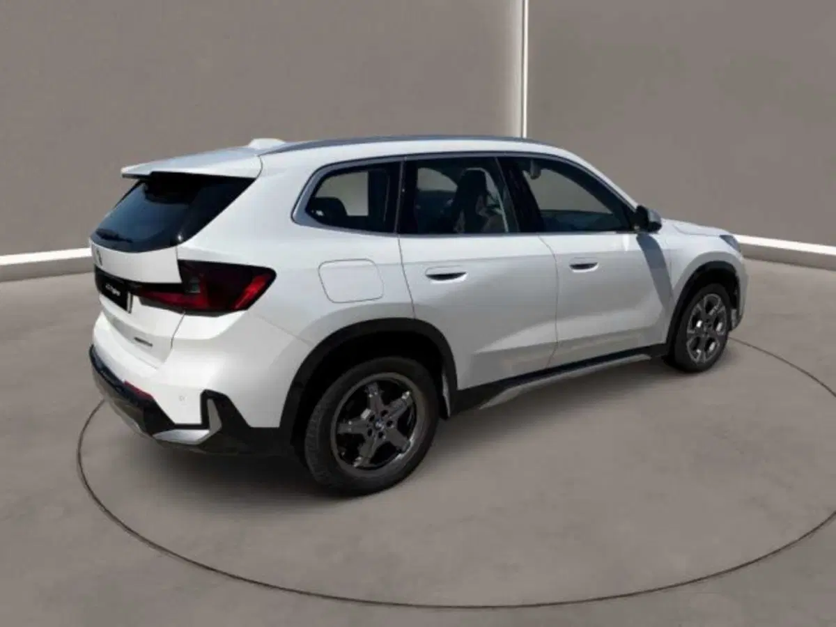 BMW X1 usata a Caltanissetta (15)