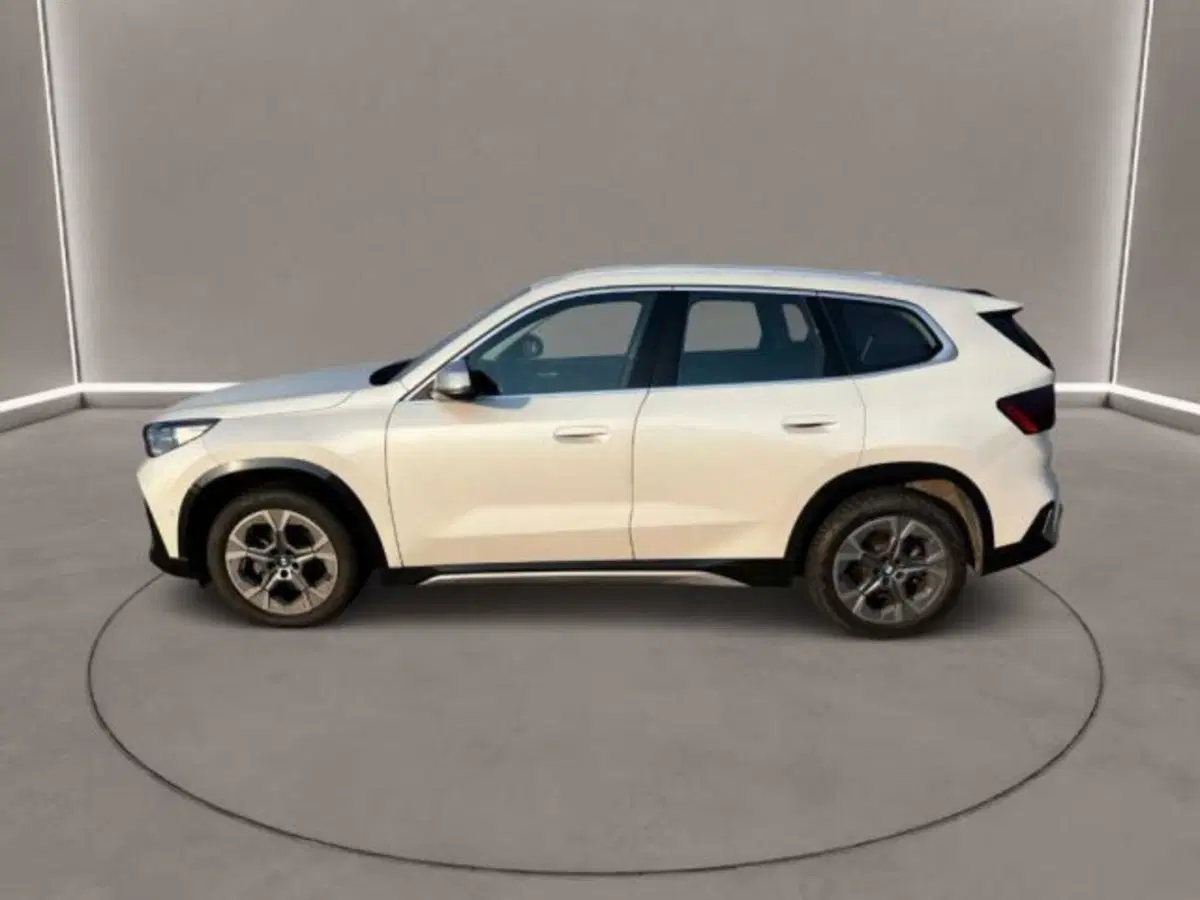 BMW X1 usata a Caltanissetta (3)