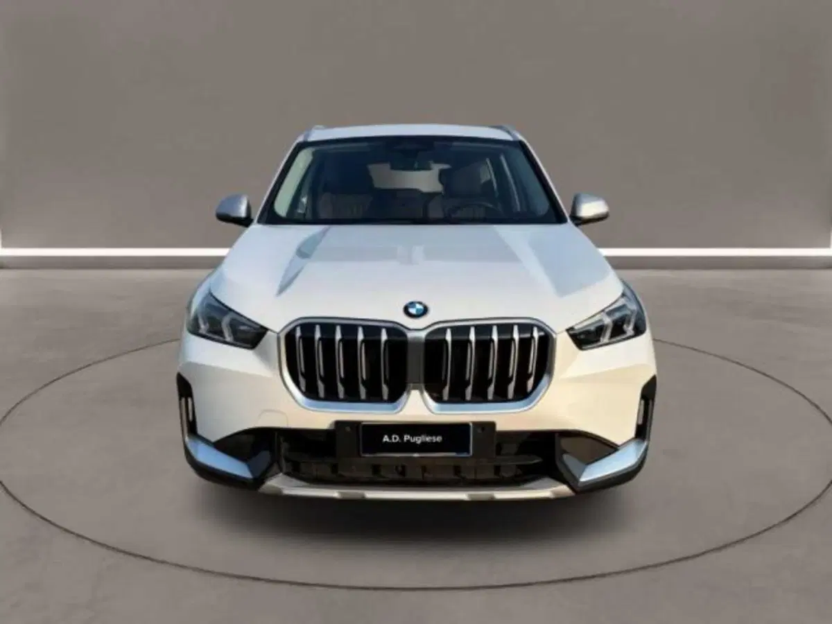 BMW X1 usata a Caltanissetta (5)