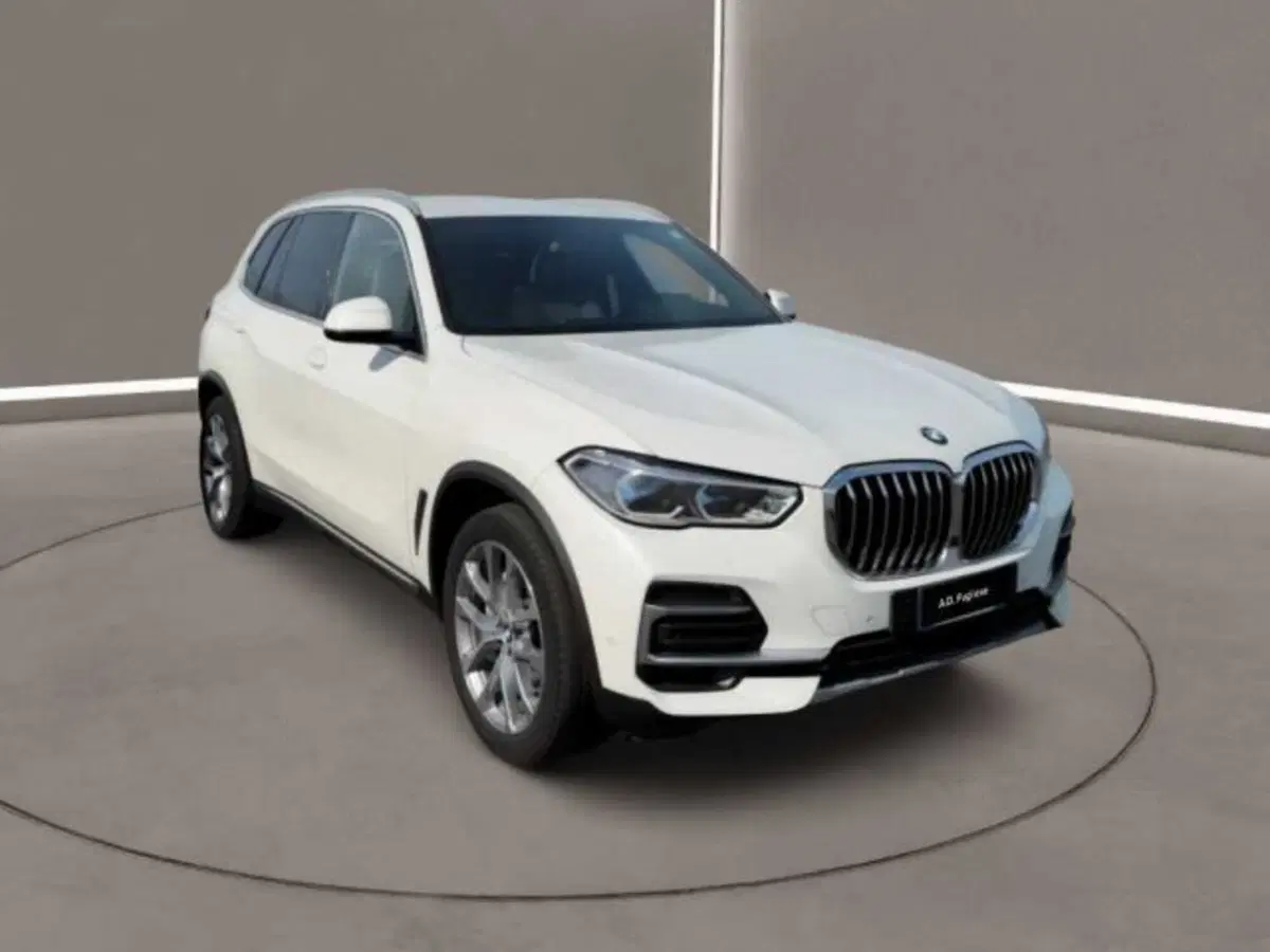 BMW X5 usata a Caltanissetta (7)