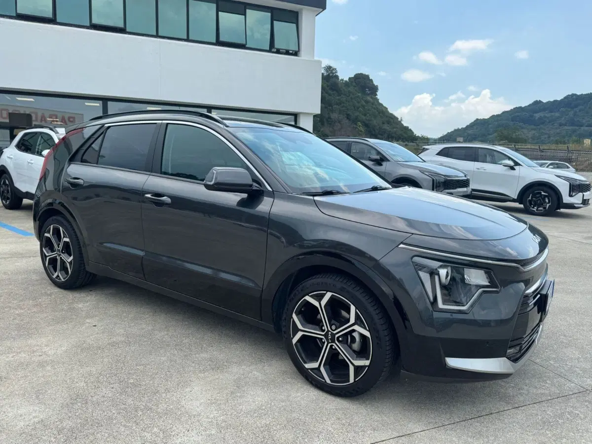 Kia Niro usata a Cosenza (3)