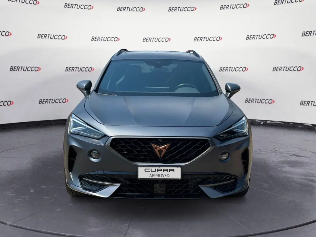 Cupra Formentor usata a Verona (2)