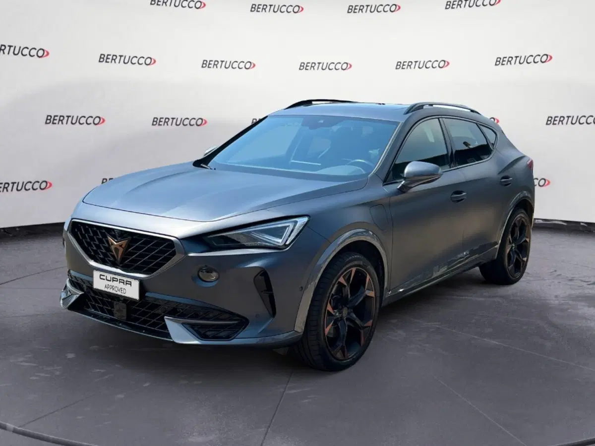 Cupra Formentor usata a Verona (3)