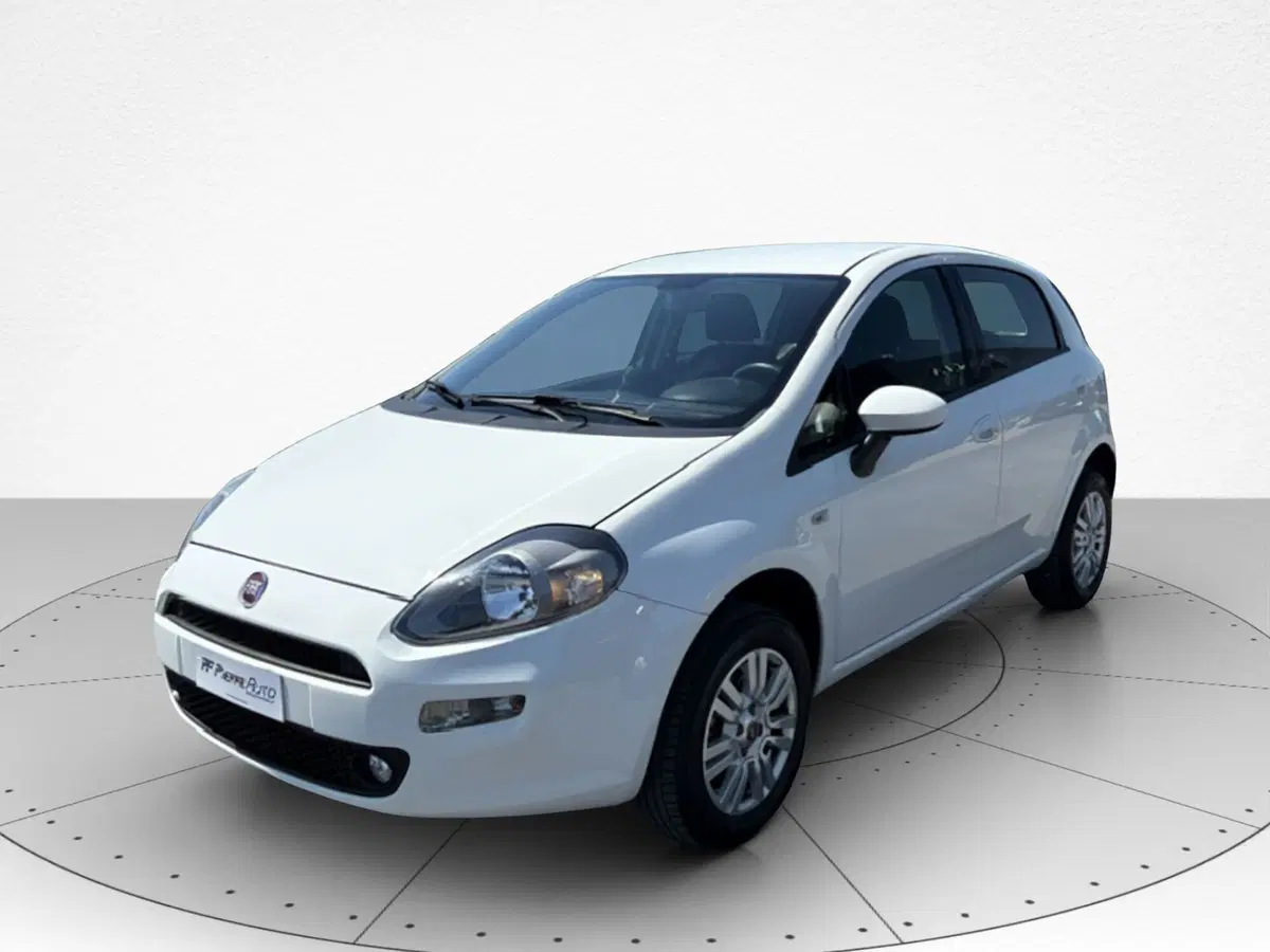 Fiat Punto usata a Macerata
