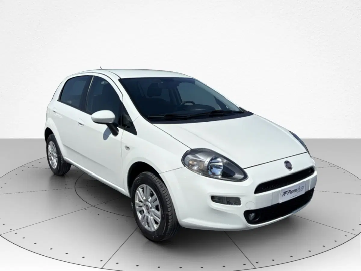 Fiat Punto usata a Macerata (2)